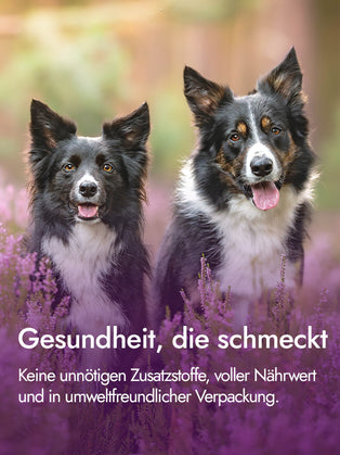 Entenbrustfilet mit Haut für Hunde