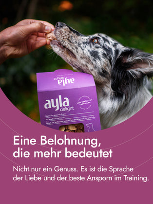 Entenherzen  für Hunde