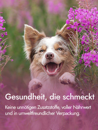Entenherzen  für Hunde