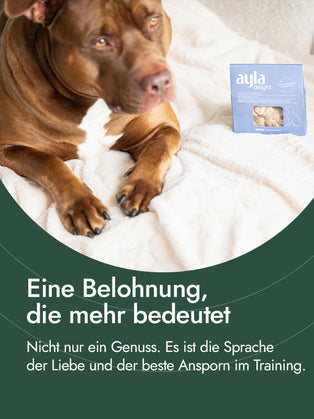 Hühnerschenkelfilet für Hunde