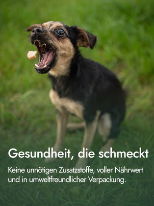 Hühnerschenkelfilet für Hunde