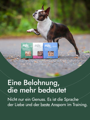 Hähnchenbrustfilet für Hunde