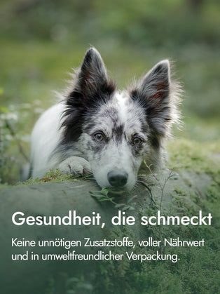 Hähnchenbrustfilet für Hunde