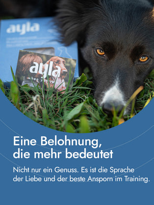 Putenbrustfilet für Hunde