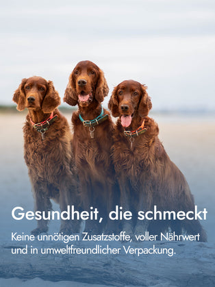 Putenbrustfilet für Hunde