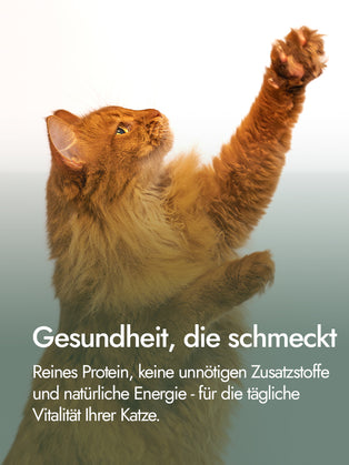 Hähnchenbrustfilet für Katzen