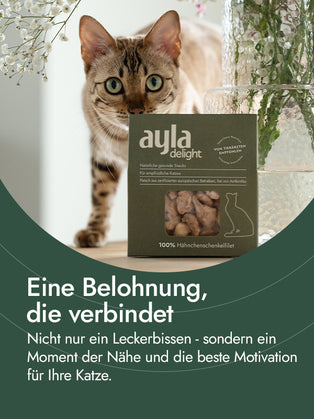 Hühnerschenkelfilet für Katzen