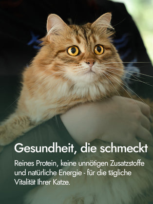 Hühnerschenkelfilet für Katzen