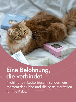 Hühnerleber für Katzen