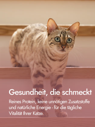 Hühnerleber für Katzen