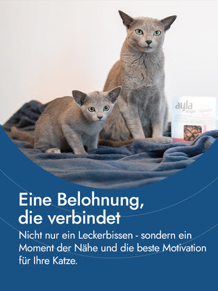 Putenbrustfilet für Katzen
