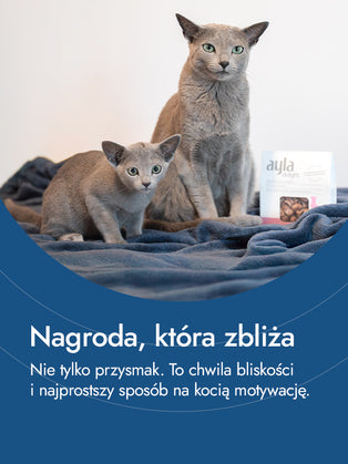 Filet z piersi indyka – czysta harmonia natury | przysmaki dla kota
