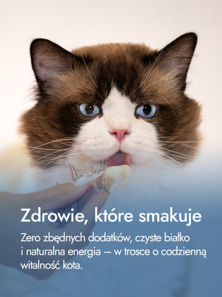 Filet z piersi indyka – czysta harmonia natury | przysmaki dla kota