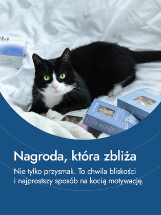 Medaliony z indyka – równowaga smaku i wartości | przysmaki dla kota