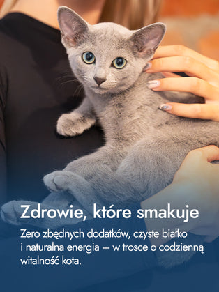 Medaliony z indyka – równowaga smaku i wartości | przysmaki dla kota
