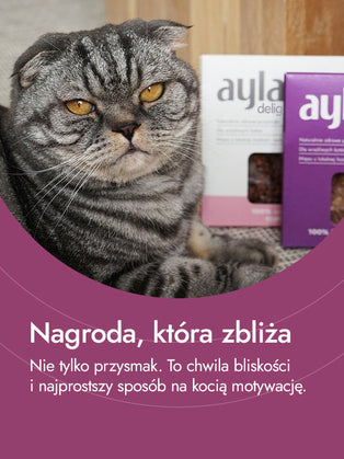 Serca kacze – intensywność i bogactwo natury | przysmaki dla kota