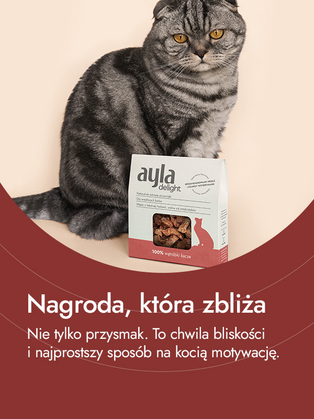 Wątróbki kacze – intensywność smaku i źródło witalności | przysmaki dla kota