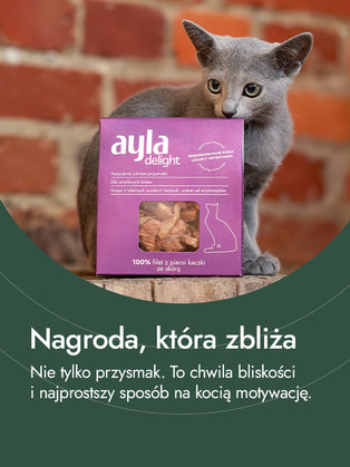 Filet z piersi kurczaka – delikatność w czystej postaci | przysmaki dla kota