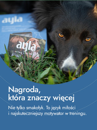 Filet z piersi indyka – lekkość i czysta siła natury | przysmaki dla psa