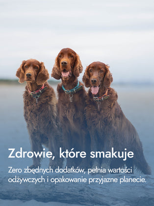 Filet z piersi indyka – lekkość i czysta siła natury | przysmaki dla psa