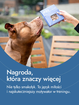 Medaliony z indyka – równowaga i smak | przysmaki dla psa