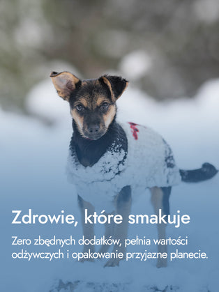 Medaliony z indyka – równowaga i smak | przysmaki dla psa