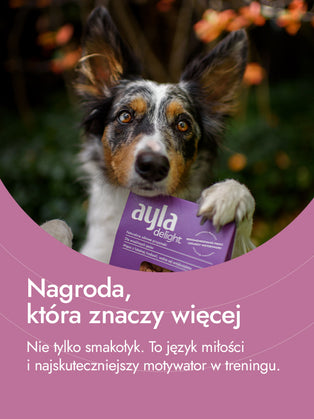 Serca indycze – naturalna nagroda pełna energii | przysmaki dla psa