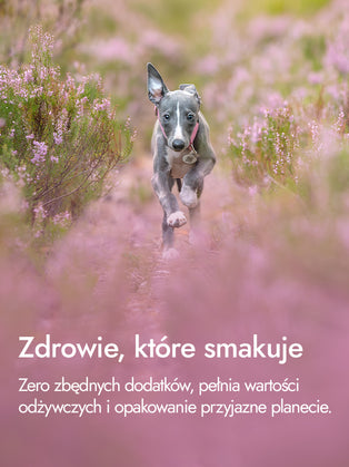 Serca indycze – naturalna nagroda pełna energii | przysmaki dla psa