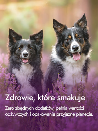 Filet z piersi kaczki ze skórą – intensywność i moc smaku | przysmaki dla psa
