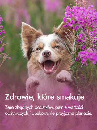 Entenherzen – Intensität und Kraft der Natur