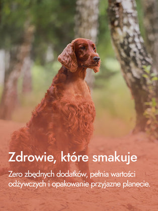 Entenmägen – knusprige Naturkraft | Leckerlis für Hunde