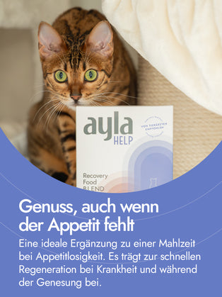 AYLA Help Putenschenkelfilet (60%) mit Leber (40%)