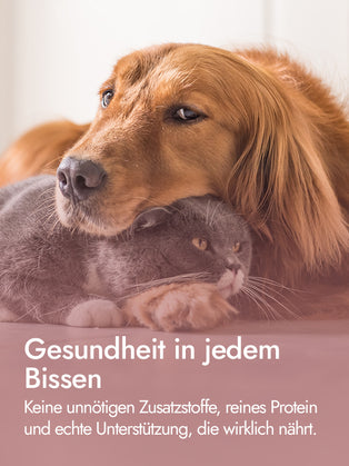 AYLA Help Putenschenkelfilet (60%) mit Leber (40%)