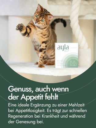 AYLA Help Hühnerschenkelfilet