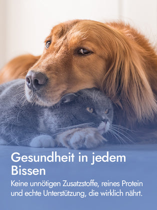 AYLA Help Putenmedaillons