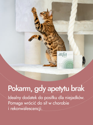 Recovery Food SINGLE | Putenleber