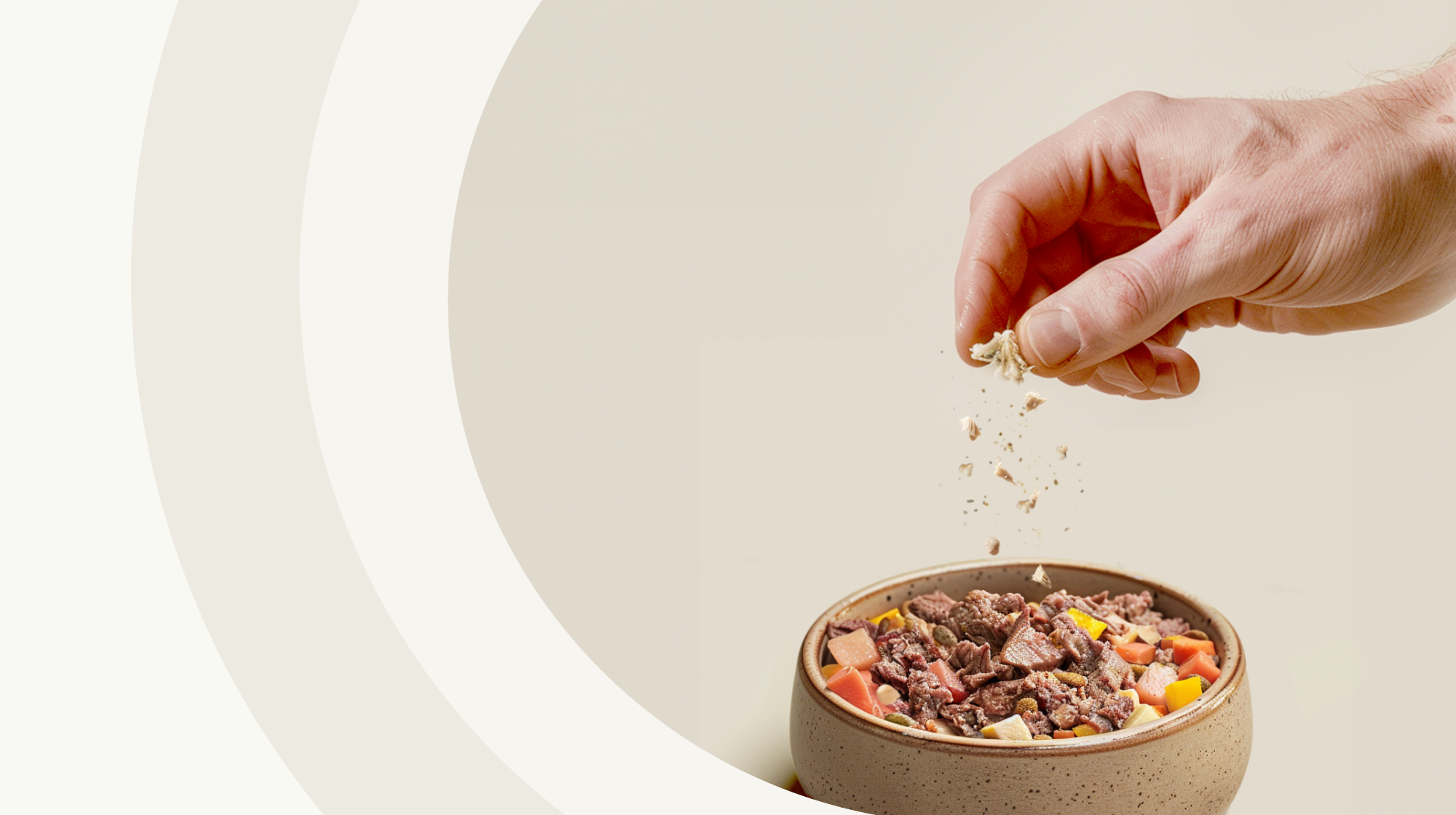 Grafika produktowa AYLA Help