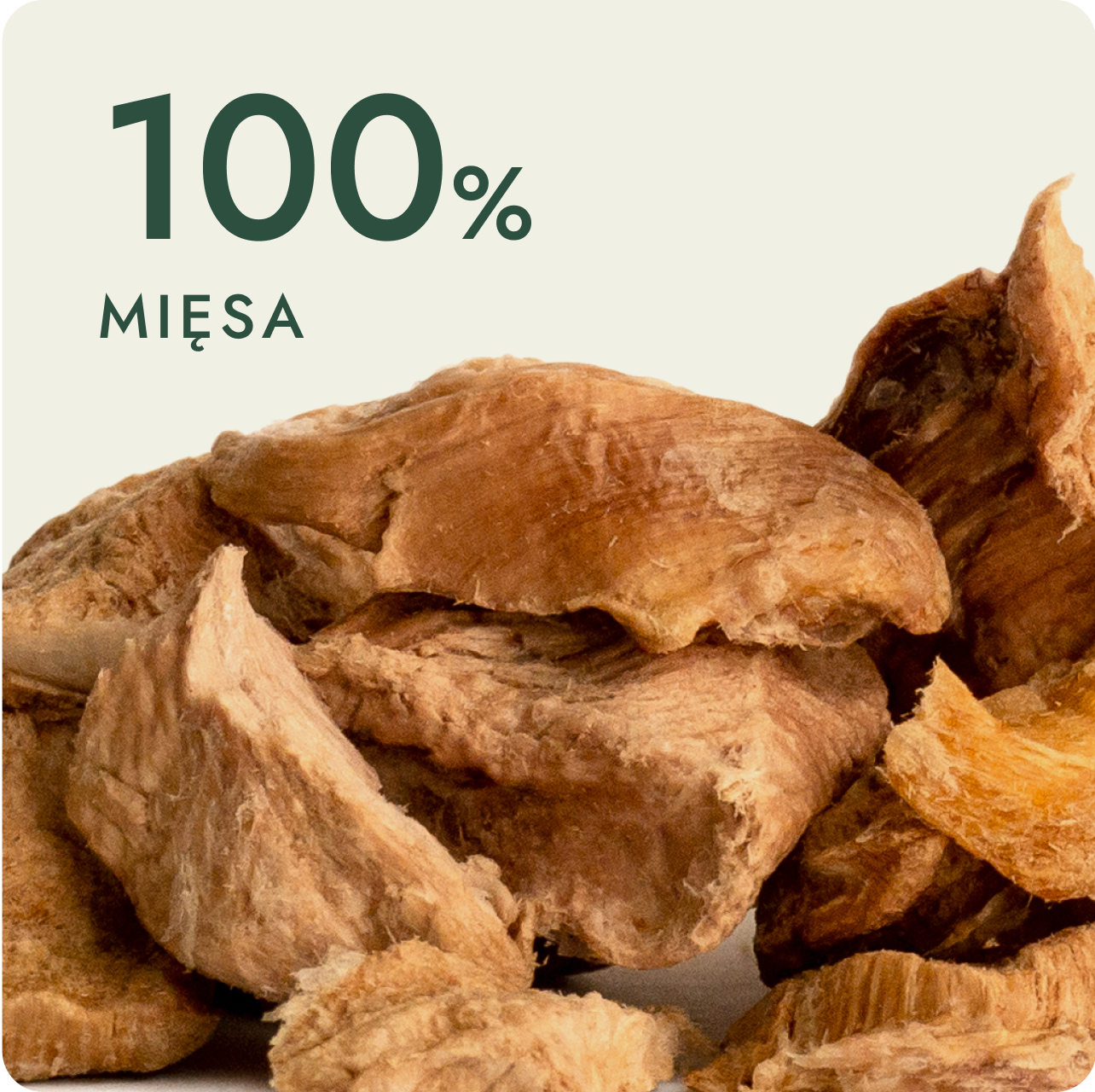 Suszone mięso przysmaków AYLA