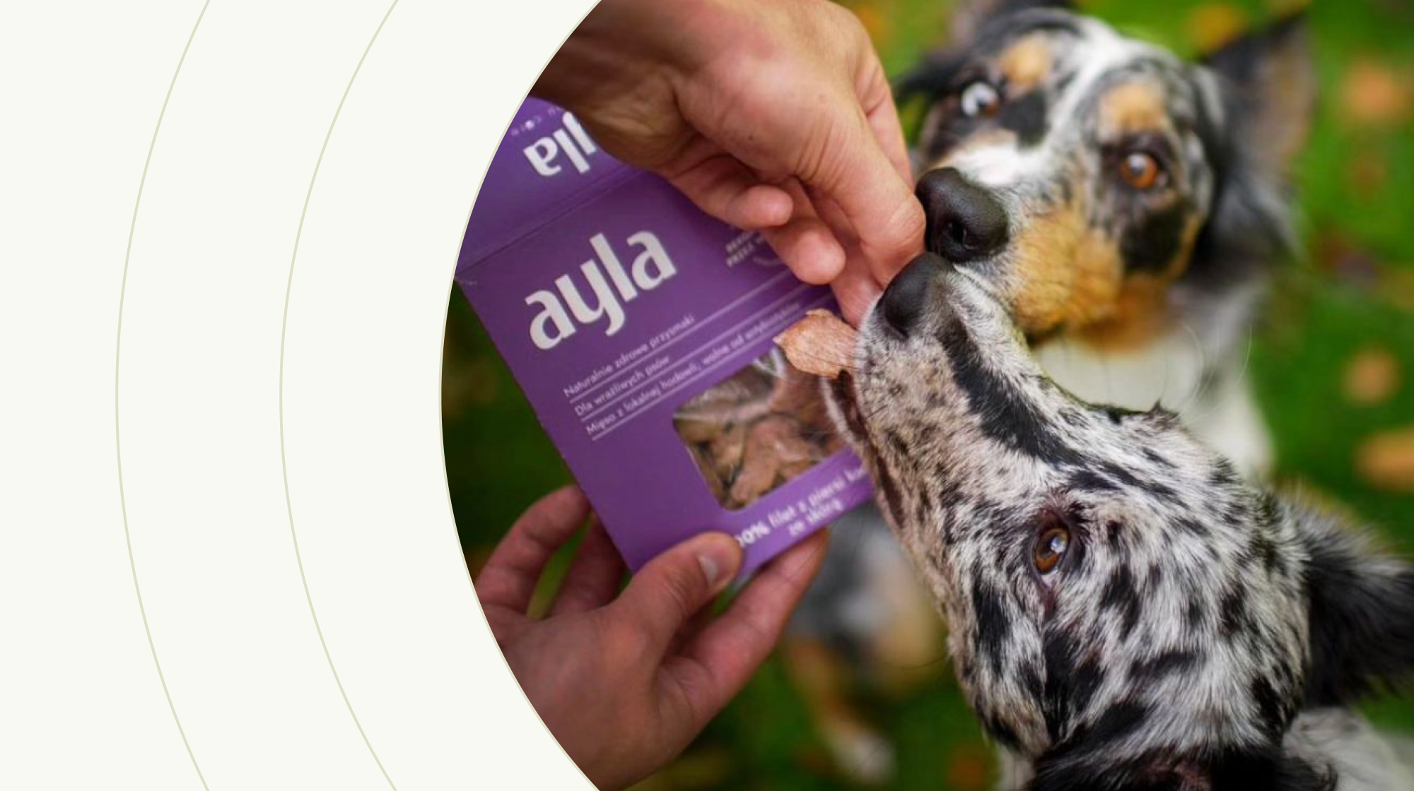 Grafika produktowa AYLA Delight