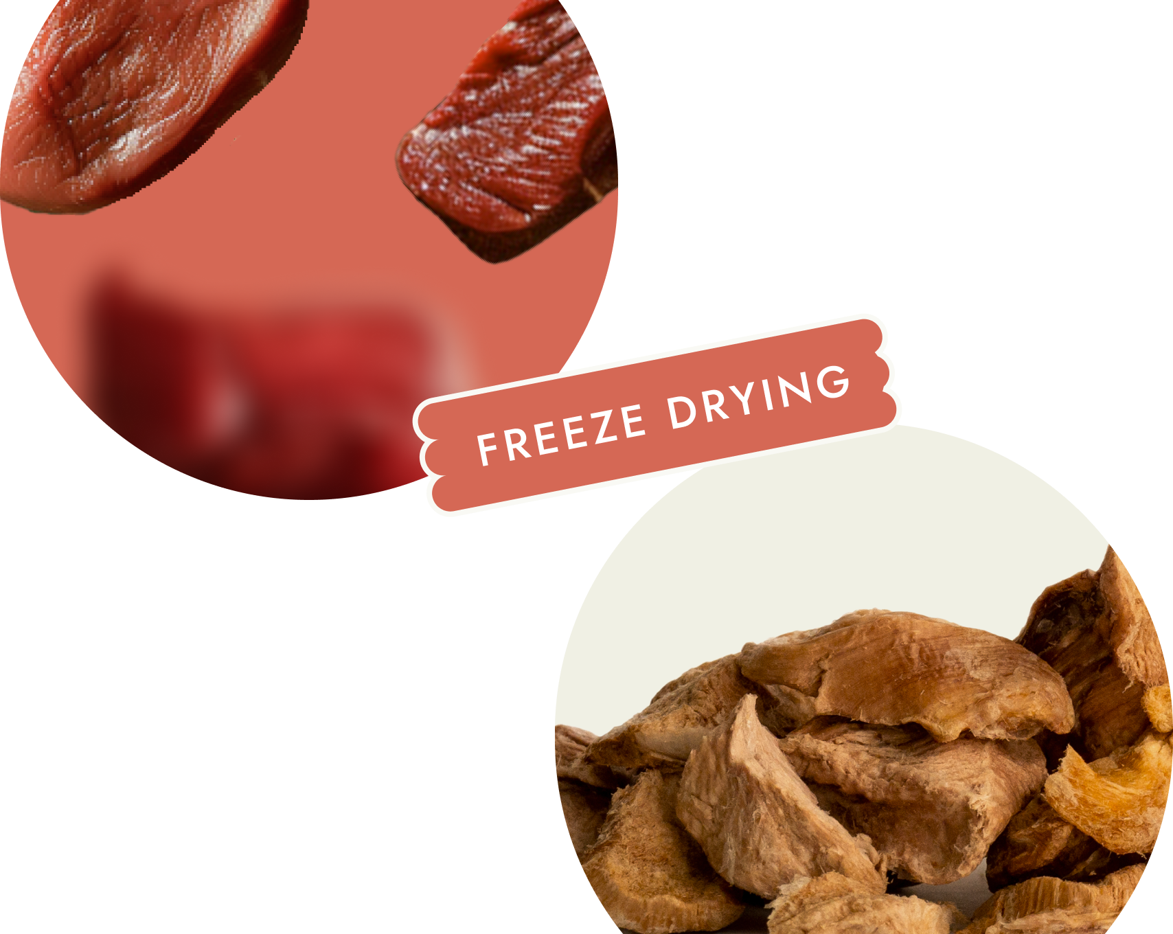 Liofilizowane przysmaki