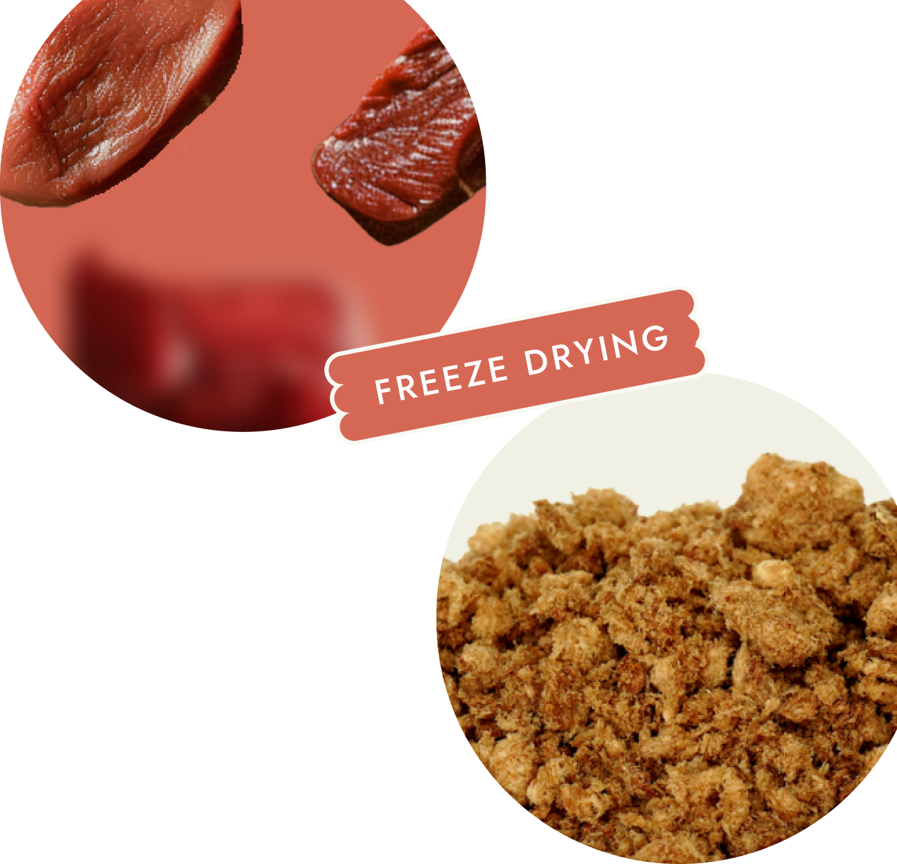 Freeze drying process