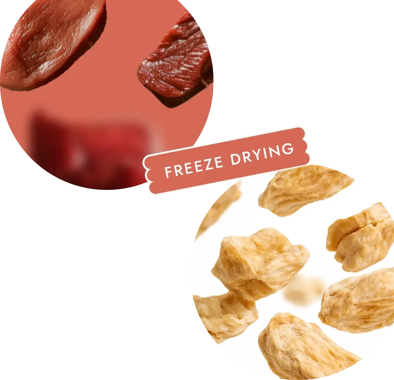 Freeze drying process