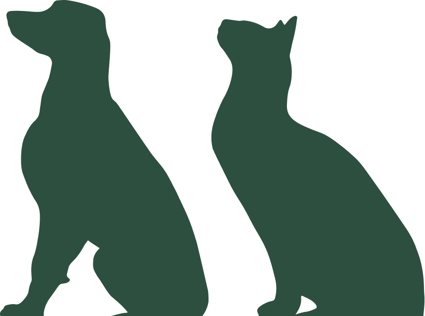 Illustration of a cat and a dog