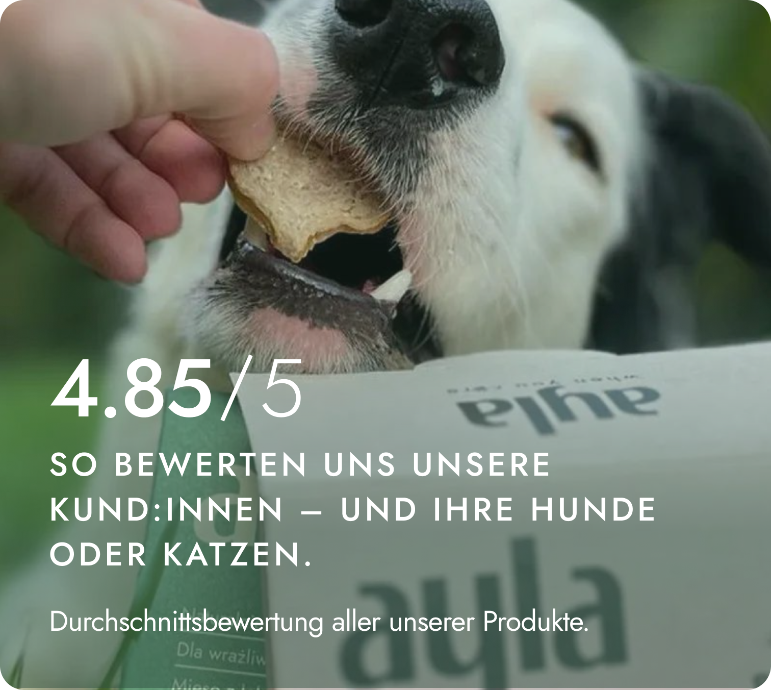 100% unserer Kunden empfehlen uns