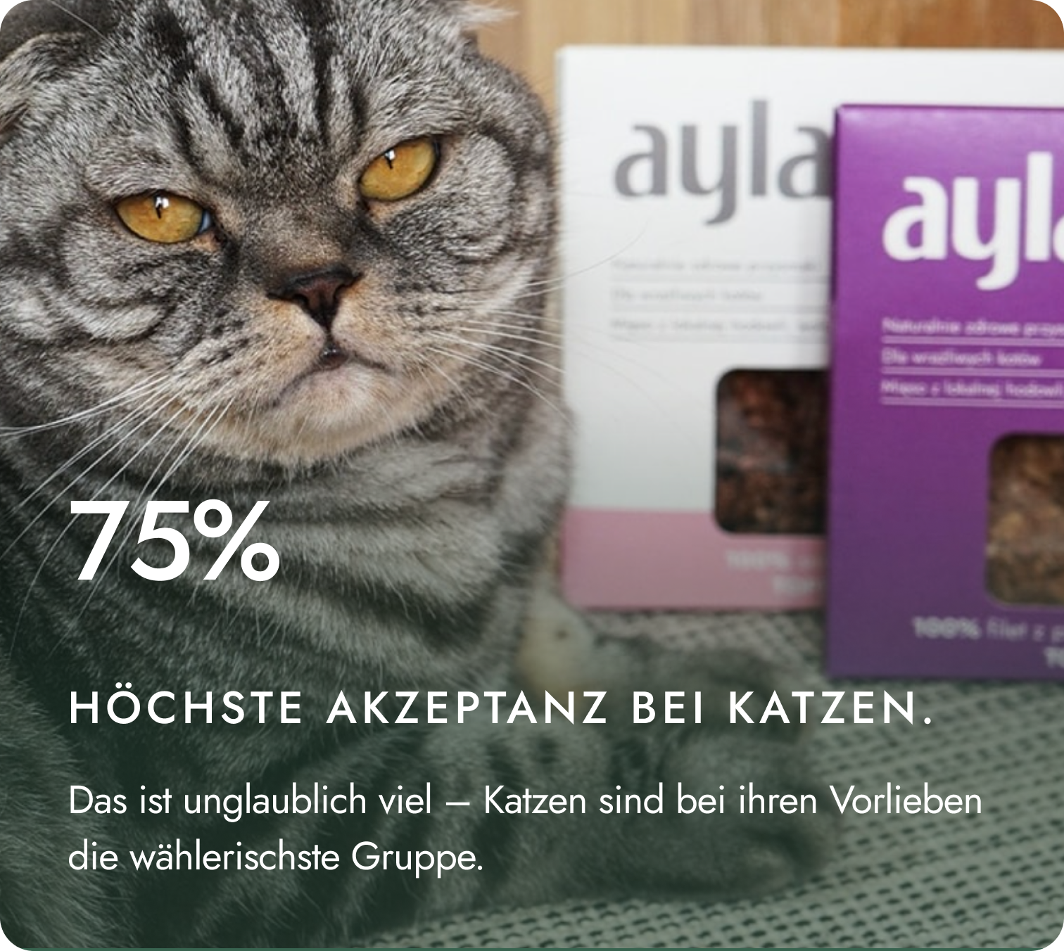4.96/5.00 Durchschnittsbewertung der Katzenprodukte