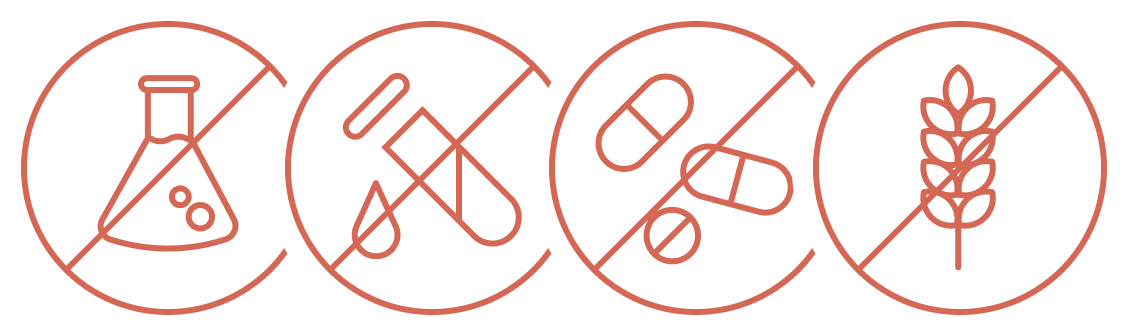 Clean ingredients icons